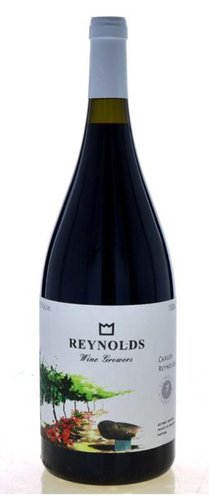 Carlos Reynolds Tinto